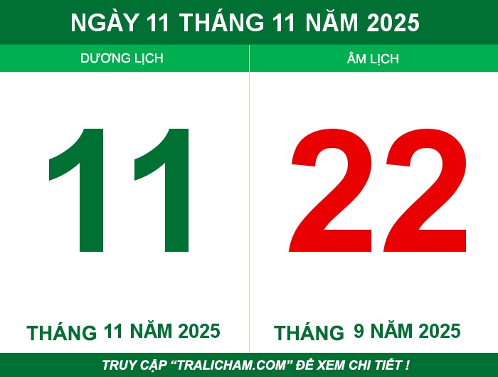 Ngày 11 tháng 11 năm 2025